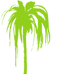 Palm Footer