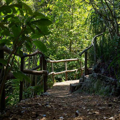 Wendy's Garden Walkway in Sunlight