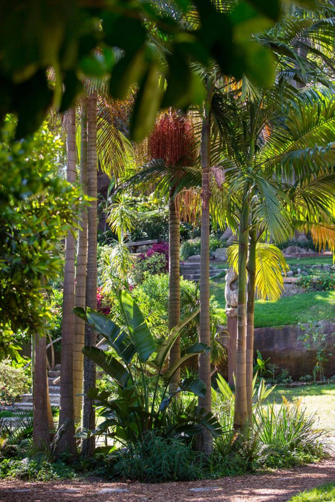 Wendy's Secret Garden Arkies Bangalow Palms