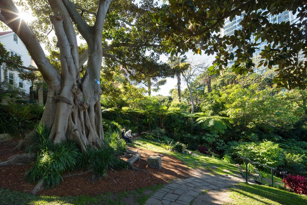 Wendy's Secret Garden Entrance Moreton Bay
