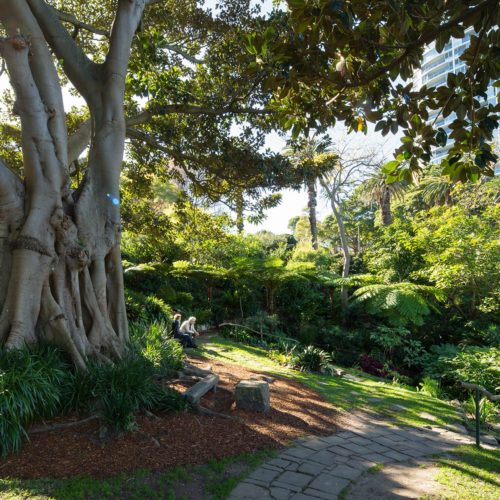 Wendy's Secret Garden Entrance Moreton Bay