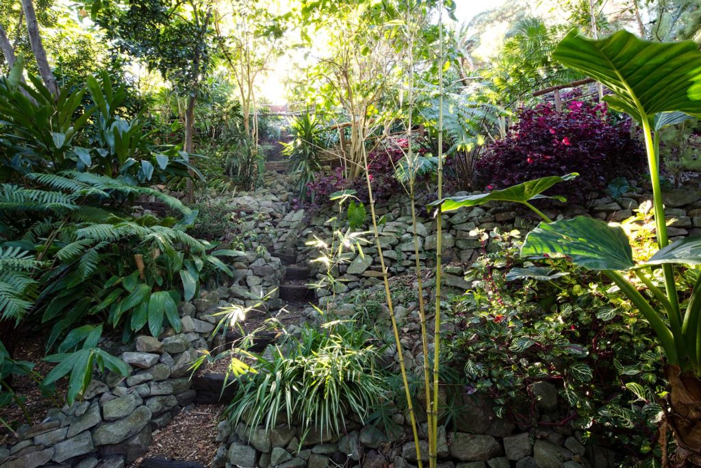 Wendy's Secret Garden Steep Pathways
