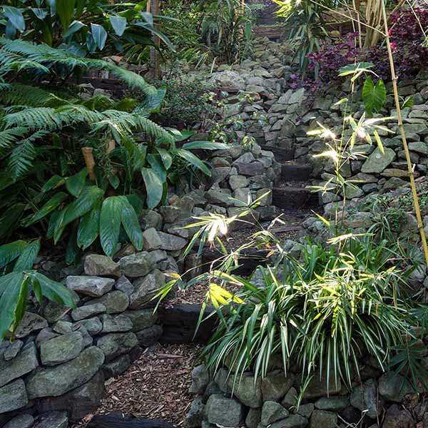 Wendy's Secret Garden Steep Pathways