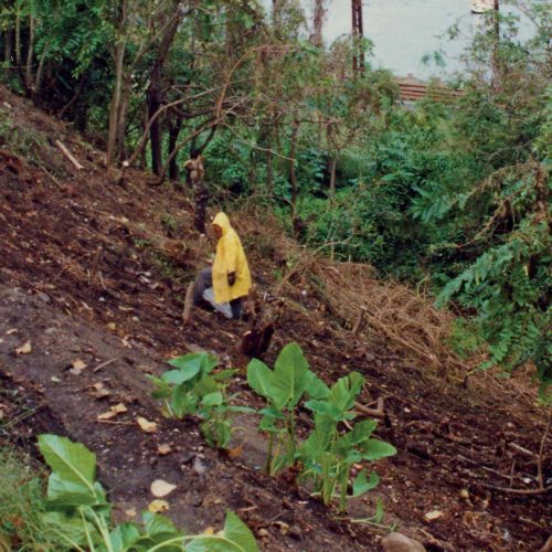 Wendy's Secret Garden Wendy Clearing Mid 90s