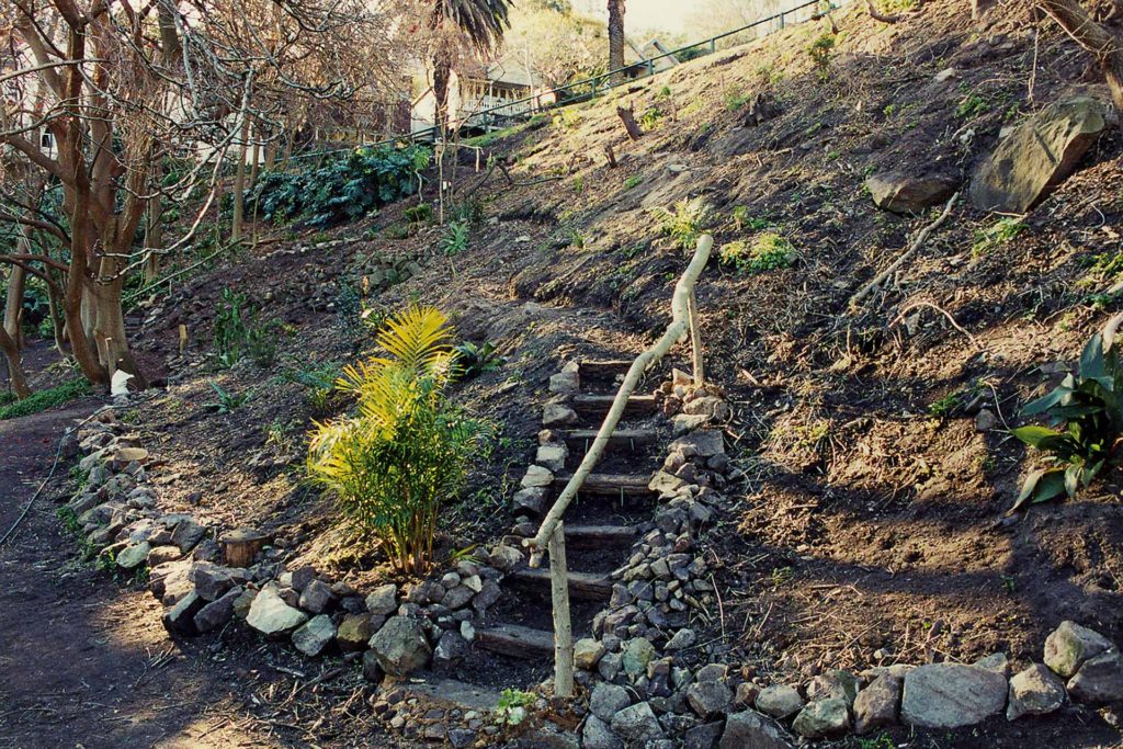 Wendys Secret Garden Clark Park Stairs